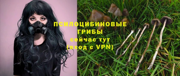 ГАЛЛЮЦИНОГЕННЫЕ ГРИБЫ Богородицк
