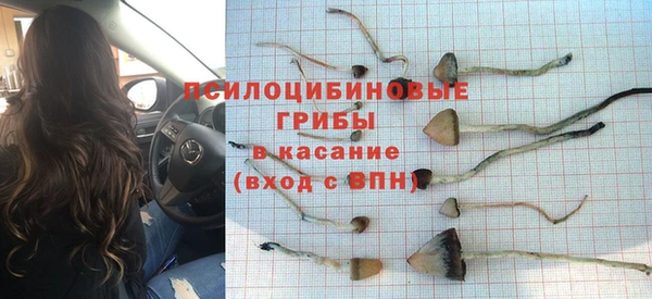 МДПВ Богданович